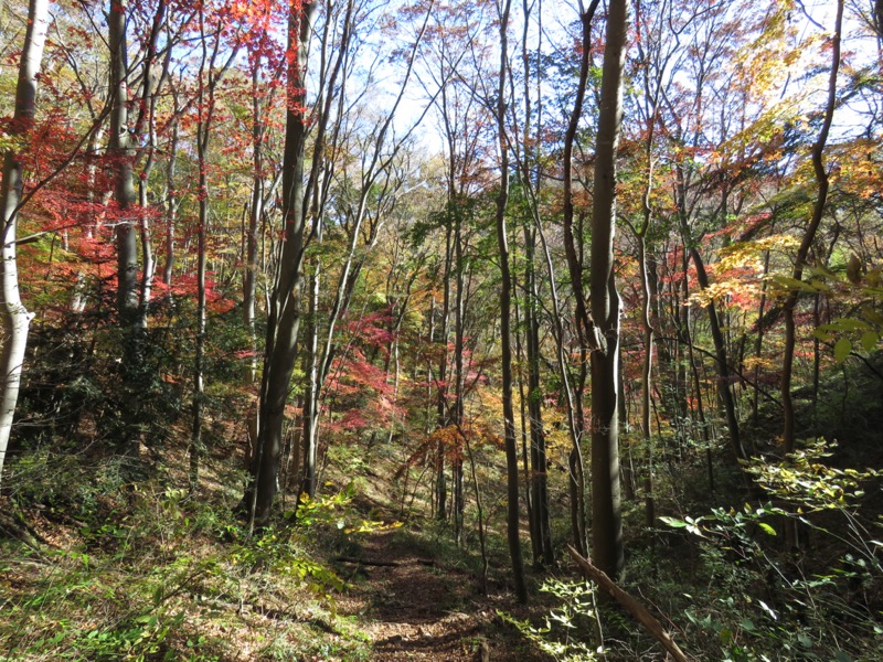 奥久慈・男体山